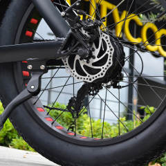 Citycoco FatBike Elektrikli Bisiklet (Siyah)